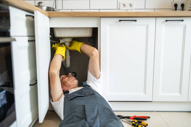 Best Sprinkler Systems  in Des Plaines, IL