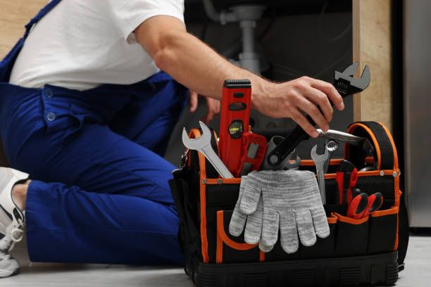 Best Local Plumber Services  in Des Plaines, IL