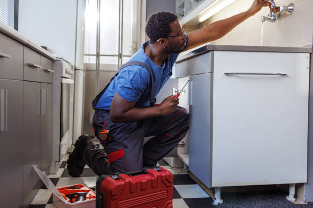 Best Pipe Repair Near Me  in Des Plaines, IL